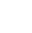 Brain Icon