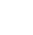 Brain Icon